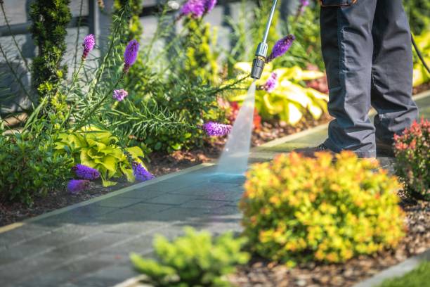 Best Sidewalk and Walkway Pressure Cleaning in Waverly, OH